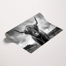 Scottish Cow Wall Art Canvas Print | Longhorn Wall Art |