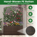 58 Inch Raised Garden Bed with Trellis and Wicker Planter Box by LJGDeals