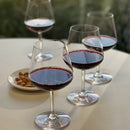 Lexington Tritan - Plastic Wine Glasses (Set of 4), Unbreakable, Bpa Free, 20Oz - Clear by HouseOfZazla