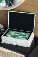 Botanical And Book Boxes (Set of 2) - White / Green by HouseOfZazla