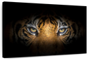 Fierce Eyes Tiger Wall Art