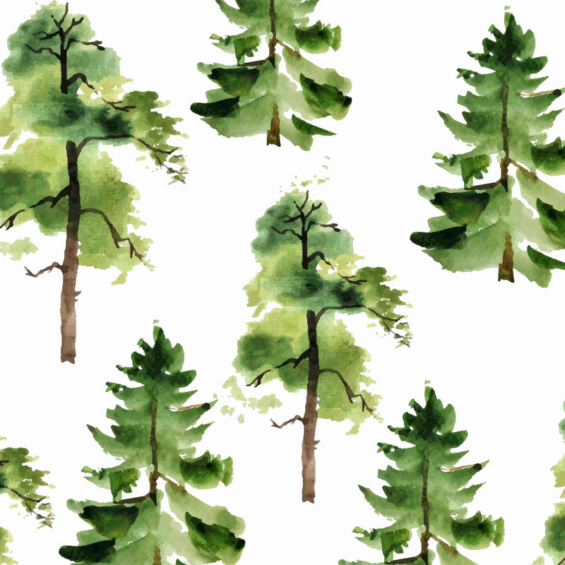 Cedar Wallpaper