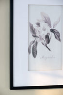 Botanical Wall Art Prints, Home Decor For Living Room Dining Room, Bedroom, Hallway (Set of 4) - White / Black by HouseOfZazla