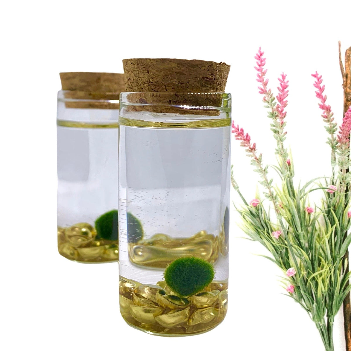 Fortune Moss Kit Office Desktop Decor