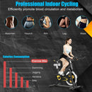 Magnetic Exercise Bike Fixed Belt Drive Indoor Bicycle by LJGDeals