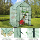 Walk-in Greenhouse 56 x 56 x 77 Inch Gardening with Observation Windows by LJGDeals
