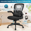 Ergonomic Desk Chair with Lumbar Support and Flip up Armrest-Black by LJGDeals