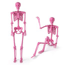 5.5 FT Life-Size Halloween Poseable Skeleton Pink Movable Joints by DirectDeals
