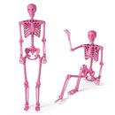 5.5 FT Life-Size Halloween Poseable Skeleton Pink Movable Joints by LJGDeals