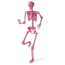 5.5 FT Life-Size Halloween Poseable Skeleton Pink Movable Joints by LJGDeals