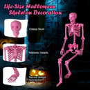 5.5 FT Life-Size Halloween Poseable Skeleton Pink Movable Joints by LJGDeals