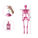 5.5 FT Life-Size Halloween Poseable Skeleton Pink Movable Joints by LJGDeals