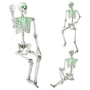 5.5 FT Halloween Skeleton Life-Size Posable for Indoor Outdoor Decoration by DirectDeals