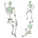 5.5 FT Halloween Skeleton Life-Size Posable for Indoor Outdoor Decoration by LJGDeals