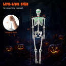 5.5 FT Halloween Skeleton Life-Size Posable for Indoor Outdoor Decoration by LJGDeals