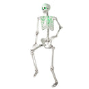 5.5 FT Halloween Skeleton Life-Size Posable for Indoor Outdoor Decoration by LJGDeals