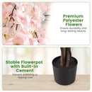 5.5 FT Tall Artificial Cherry Blossom Tree with Pink/White Flowers 1 Pack