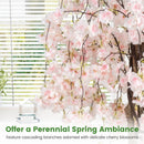 5.5 FT Tall Artificial Cherry Blossom Tree with Pink/White Flowers 2 Pack by LJGDeals