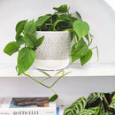 6 inch Reed Grey Round Cement Planter