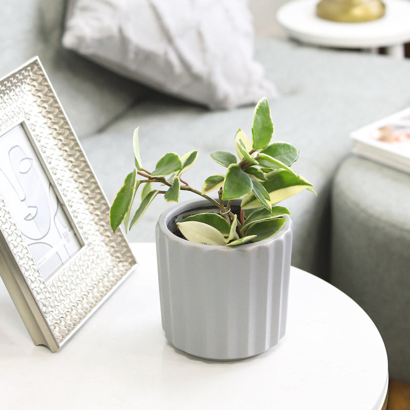 5 inch Grey Glazed Ceramic Cylinder Faux Cement Planter