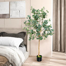 5.5 Feet Artificial Eucalyptus Tree with 517 Silver Dollar Leaves by LJGDeals