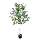 5.5 Feet Artificial Eucalyptus Tree with 517 Silver Dollar Leaves by LJGDeals