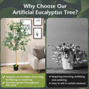 5.5 Feet Artificial Eucalyptus Tree with 517 Silver Dollar Leaves by LJGDeals