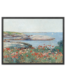 Poppies Art Print