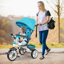 5-in-1 Detachable Baby Stroller Tricycle with Round Canopy by LJGDeals