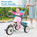 5-in-1 Detachable Baby Stroller Tricycle with Round Canopy by LJGDeals