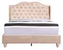Upholstered Bed Transitional by HouseOfZazla