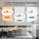 19.7'' LED Ceiling Fan Light with Remote & App Control, 6 Speeds, Dimmable, 3000K-6500K, Flush Mount by HouseOfZazla