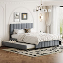 Platform UpholsteredBed With 2 Drawers And Twin Long Trundle by HouseOfZazla