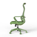 Ergonomic Colorful Office Chair