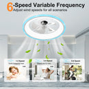 19.7" Modern RGB Ceiling Fan with Lights by HouseOfZazla