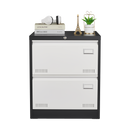 2 Drawer Metal Lateral File Cabinet with Lock,Office Vertical Files Cabinet for Home Office/Legal/Letter/A4,Locking Metal File Cabinet,Assembly Required