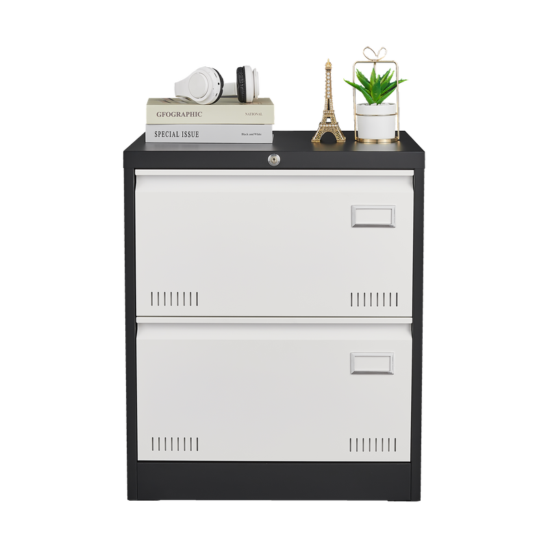 2 Drawer Metal Lateral File Cabinet with Lock,Office Vertical Files Cabinet for Home Office/Legal/Letter/A4,Locking Metal File Cabinet,Assembly Required