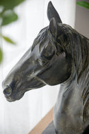 13x5.7x15.8 Equine Sculpture On Base by HouseOfZazla