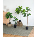 25x25x52"H Fiddle Fig Leaf Tree with 40 Leaves by HouseOfZazla