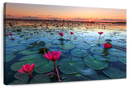 Lake Nong Harn Lotus Wall Art