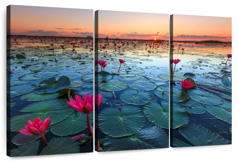 Lake Nong Harn Lotus Wall Art