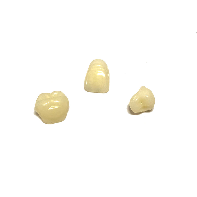 Professional Grade Fake Resin Teeth Set - 28 Pieces