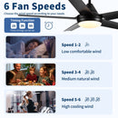 Ceiling Fan With Lights And Remote Control, Reversible DC Motor, 6 Speeds, 3 Cct Dimmable LED, Quiet Timer For Indoor - Black