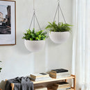 Self Watering Hanging Planter