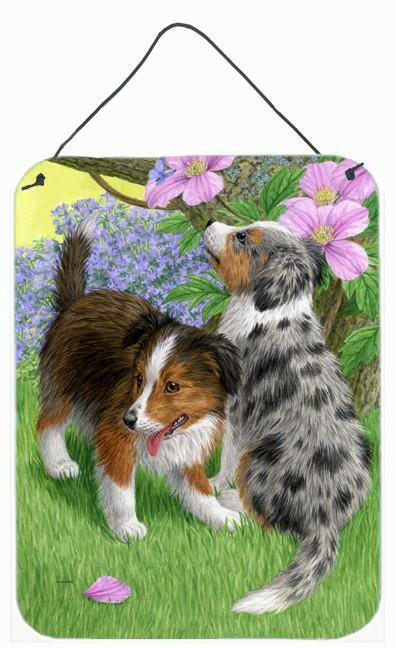 Sheltie Puppies Wall or Door Hanging Prints ASA2166DS1216