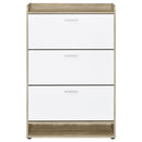 Denia 3-tier Engineered Wood Shoe Cabinet White