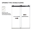 48 inches x 76 inches Double Sliding Shower Door in Matte