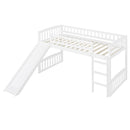 Loft Bed With Slide And Ladder by HouseOfZazla