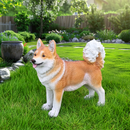 Lifelike Shiba Inu Dog Statue