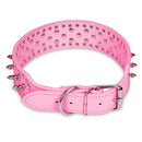 GBruno Dog Leather Collar Spiked